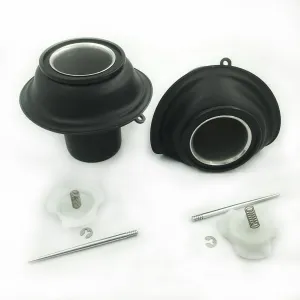2PCS Motorcycle Rubber Carburetor Membrane Plungers Bowl, Carb Slide Vacuum Diaphragm Valve Pistons Sping NeedlE Set For Honda VT1100T Shadow A.C.E.Tour 1998-2001 1999 2000 OEM NO. 16111-MAA-A00