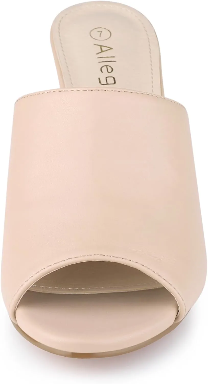 Allegra K Women's Slip on Block Heel Slide Sandals