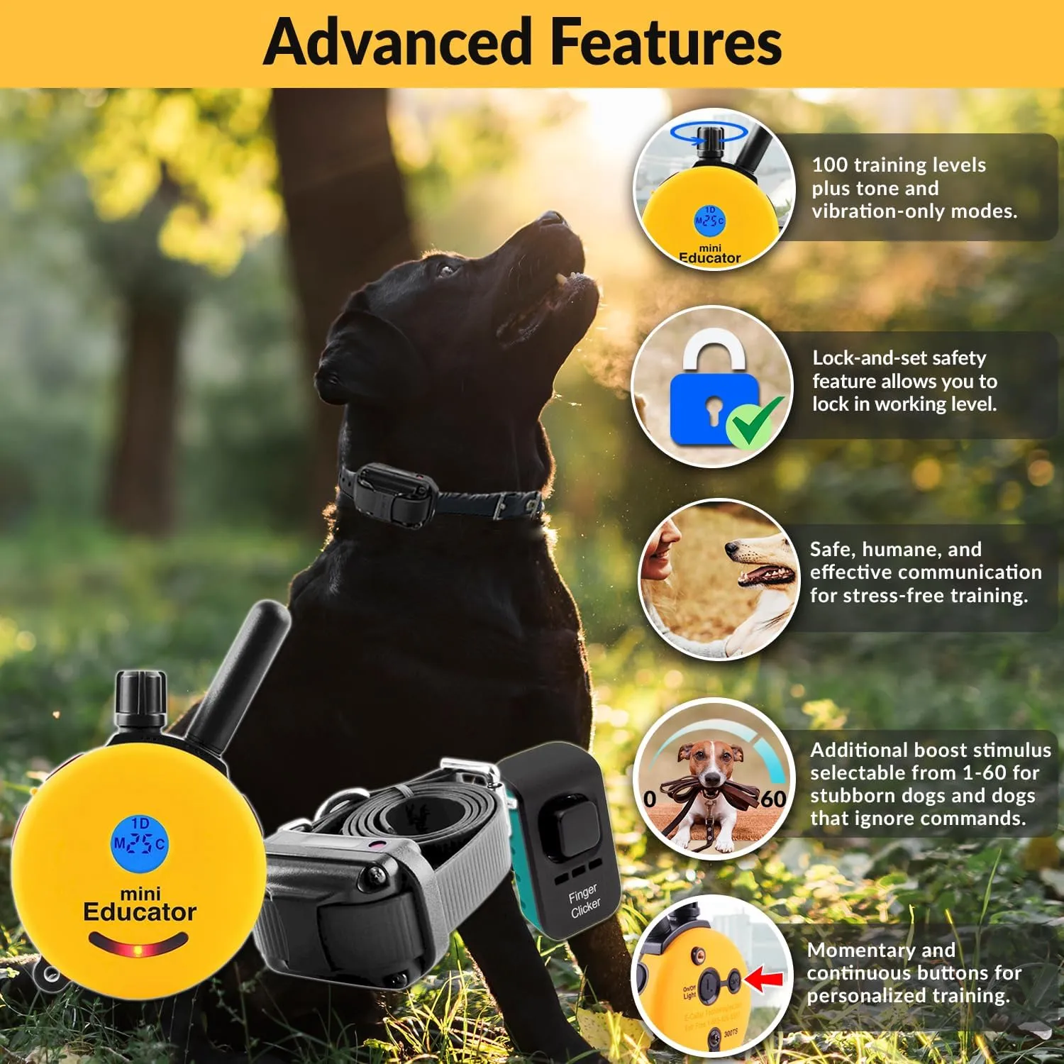 E-Collar – Educator ET-300-1/2 Mile Waterproof Remote Dog Training Collar Includes Premium Finger Clicker Trainer, 100 Programmable Levels   Vibration   Light   Sound