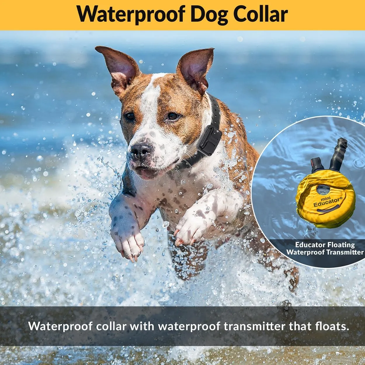 Educator E-Collar Humane Dog Training Collar with Remote, 100 Safe Tapping Stimulation Levels, Night Light, Waterproof, Rechargeable, 1/2 Mile 1 Small-Medium Dog, Yellow