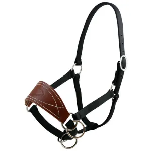 Mule Halter