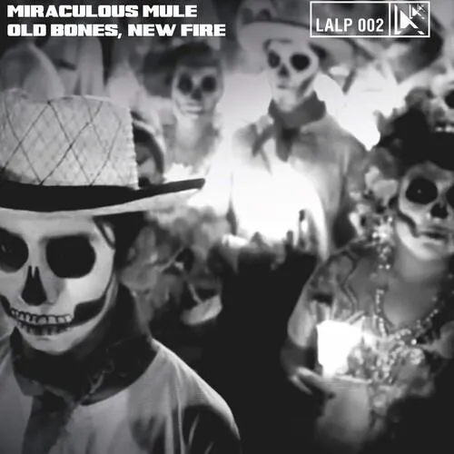 Old Bones New Fire - Vinyl LP