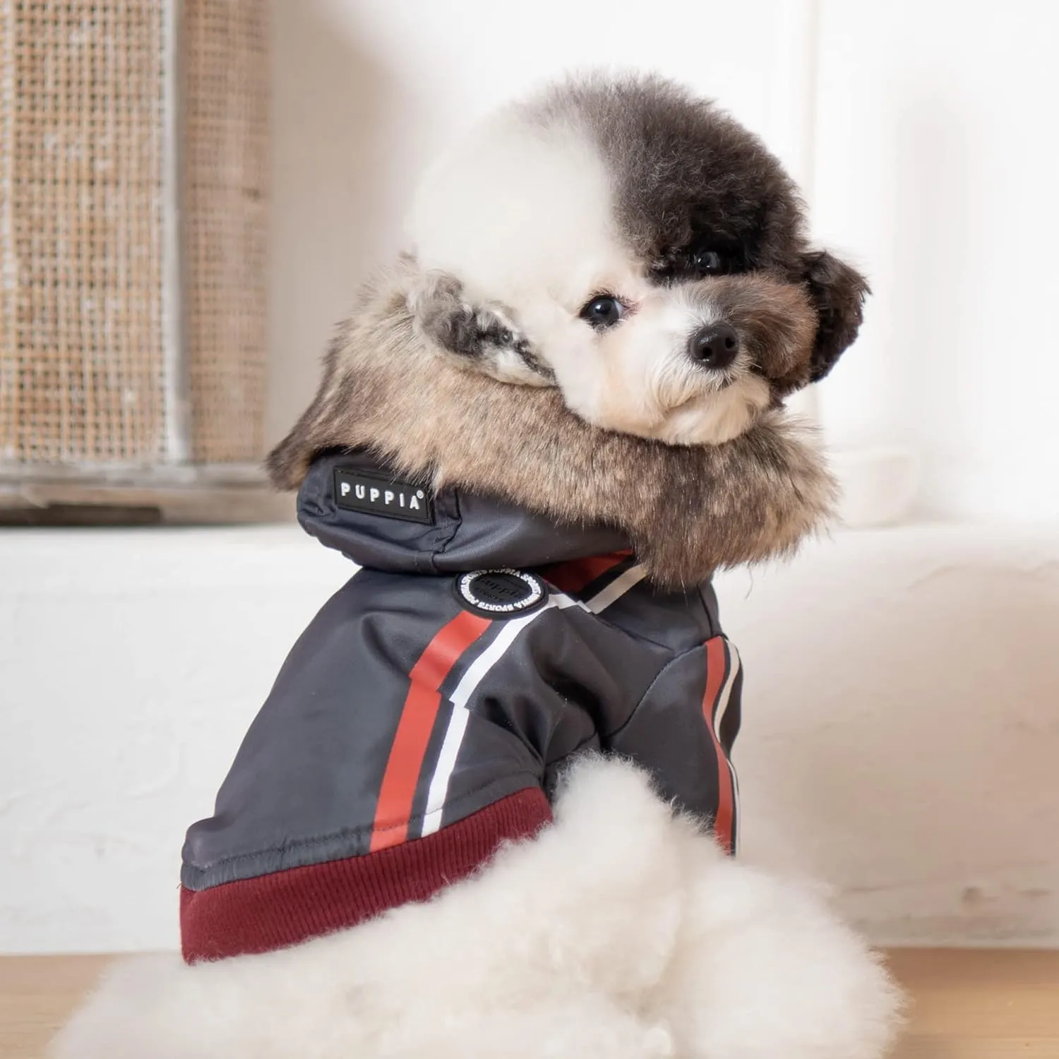 PUPPIA Fallon Winter Dog Jumper - Grey - L