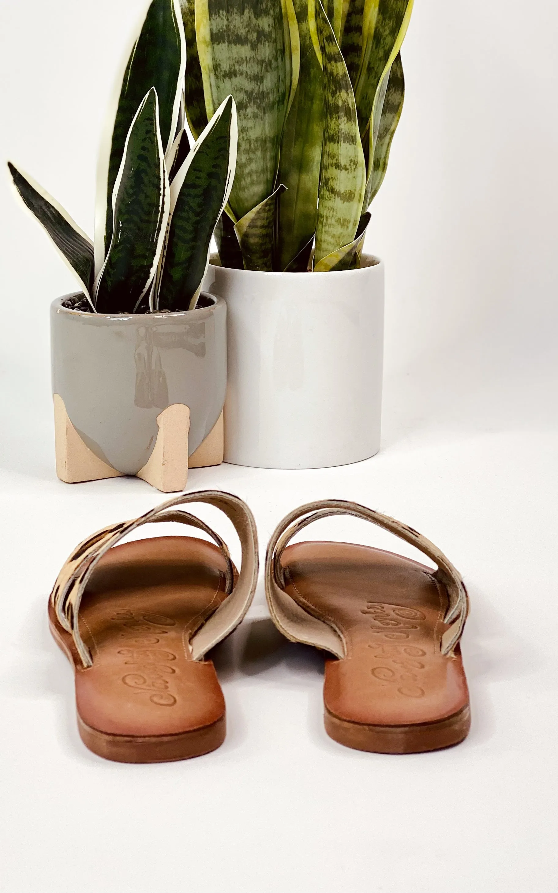 Spirited Dual Strap Slide in Leopard