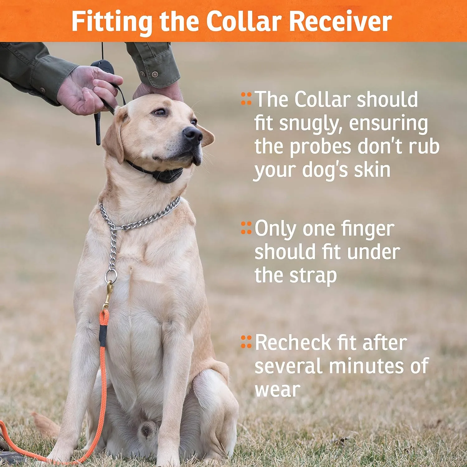 SportDOG Brand 425 Remote Trainers - 500 Yard Range E-Collar with Static, Vibrate and Tone - Waterproof, Rechargeable - Camouflage Dog Training Collar