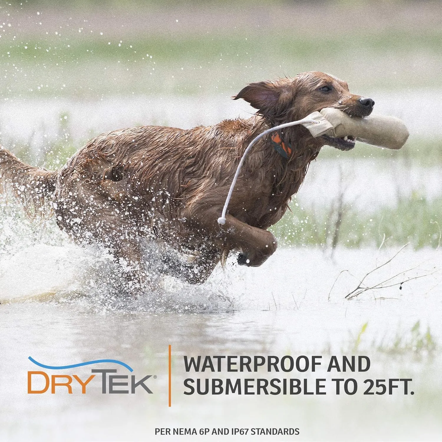 SportDOG Brand SportTrainer 575 Remote Trainer - Bright, Easy to Read OLED Screen - 500 Yard Range - Waterproof, Rechargeable Dog Training Collar with Tone, Vibration, and Static, Orange