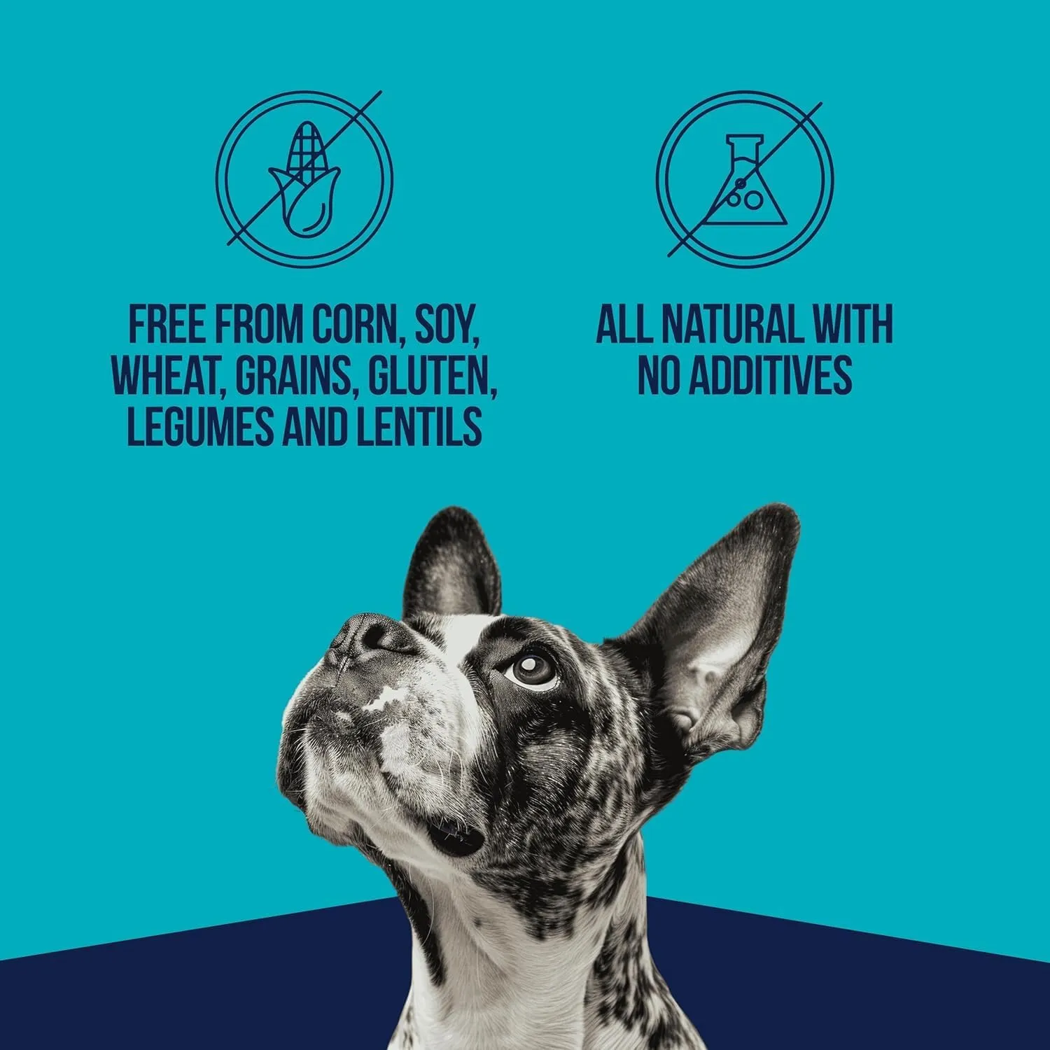Stewart Freeze Dried Dog Treats, Chicken Liver, Healthy, Natural, Single Ingredient, Grain Free Dog Treat, Liver Treats for Dogs, 11.5 Ounces, Resealable Tub