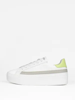 The Lola trainers
