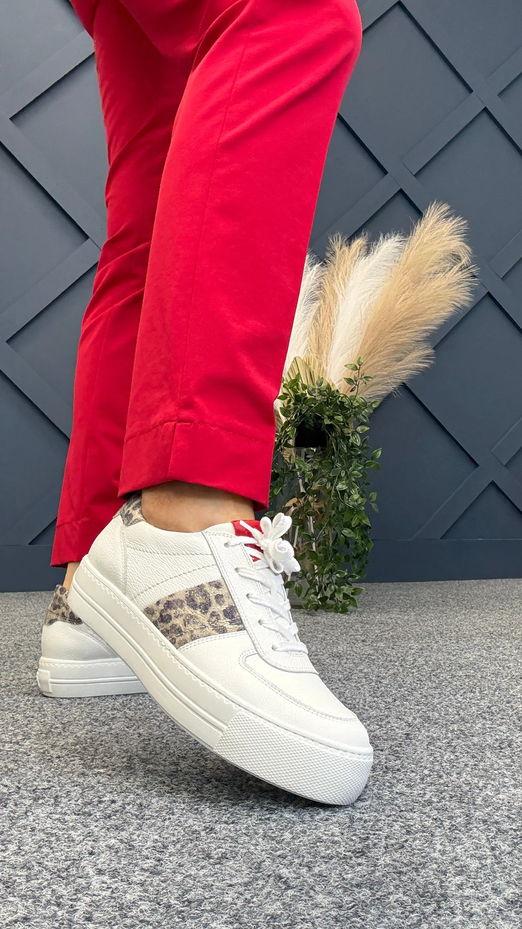 Winnie Trainer