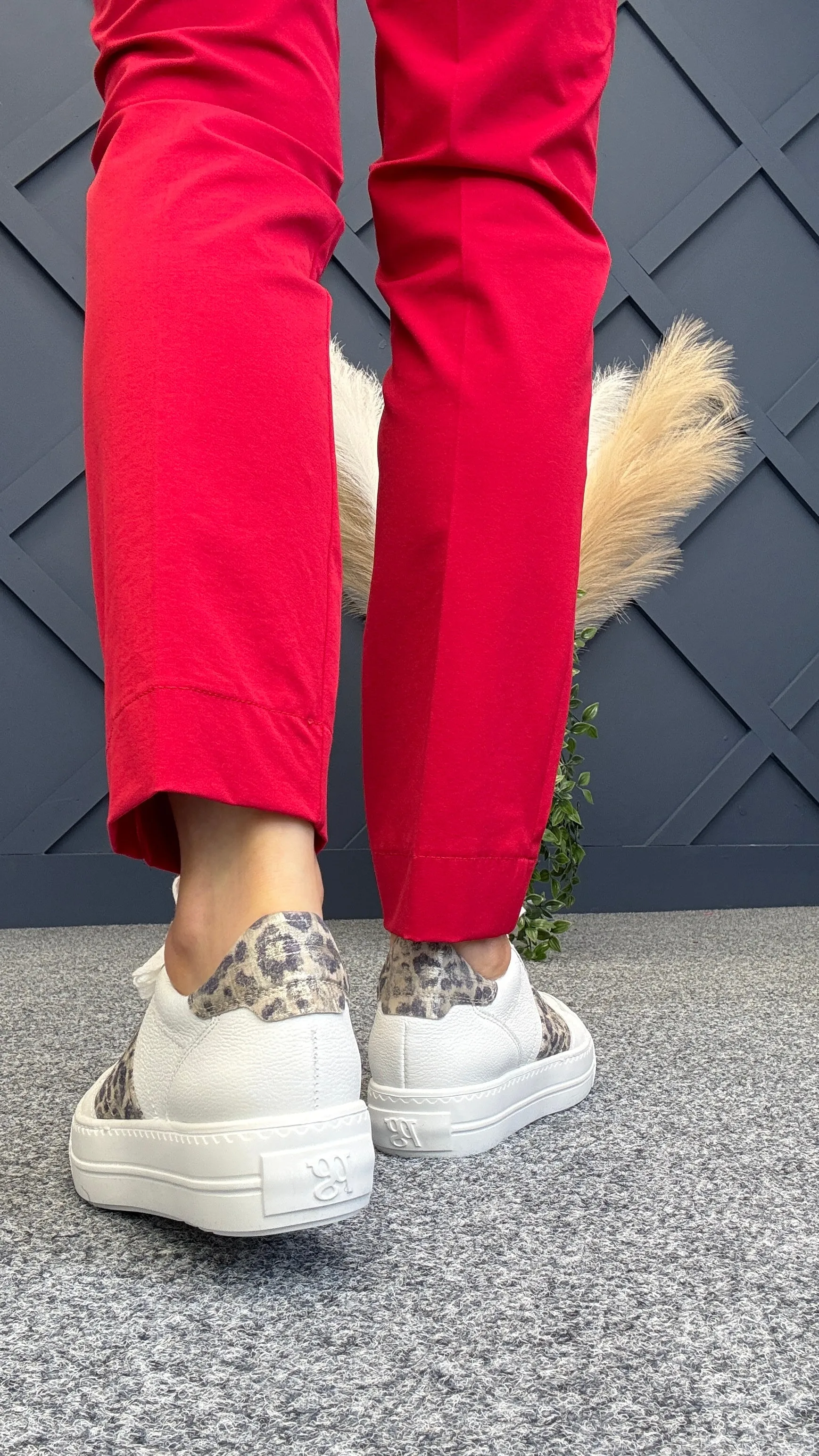 Winnie Trainer