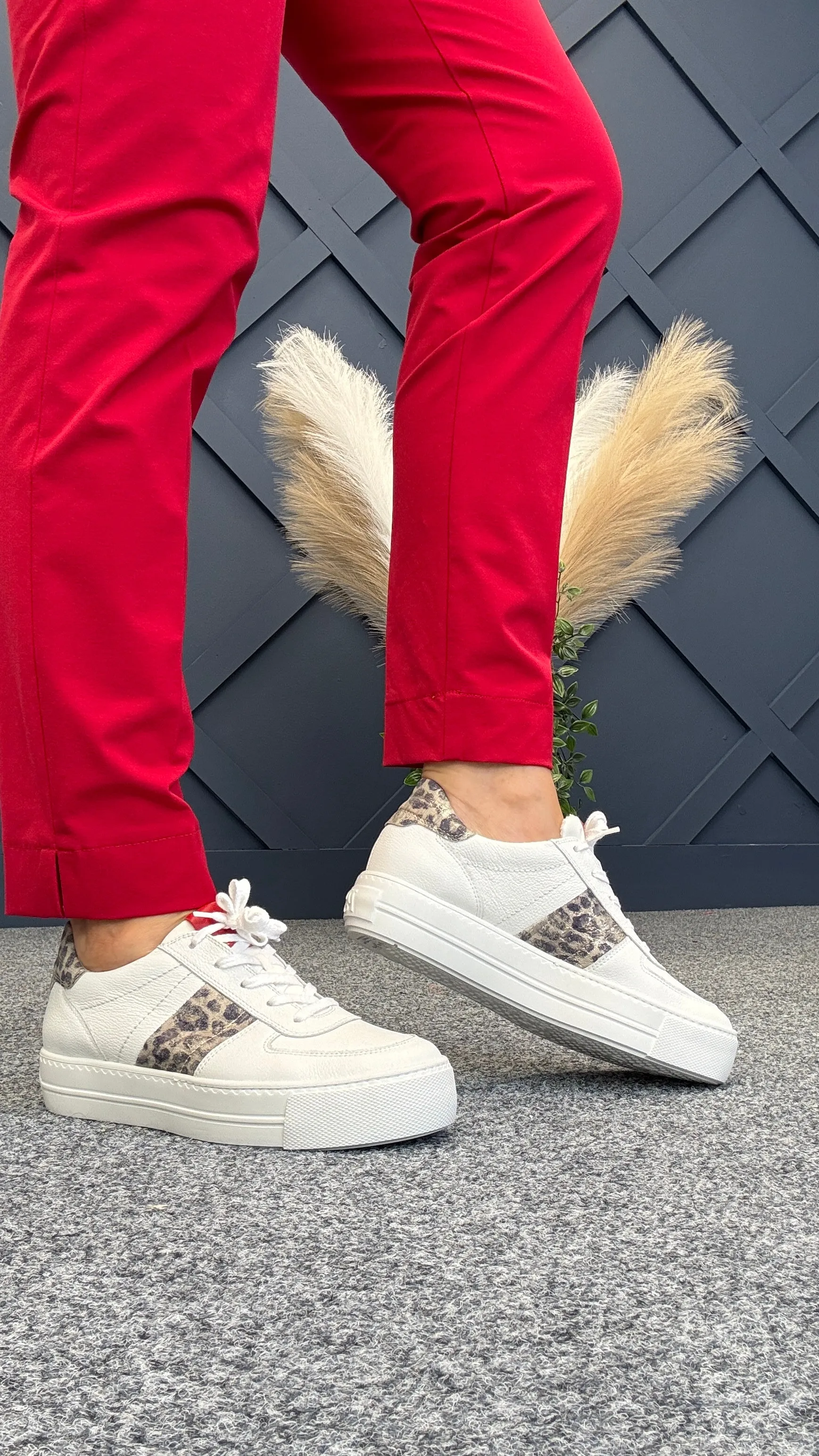 Winnie Trainer