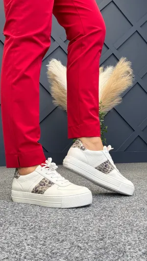 Winnie Trainer