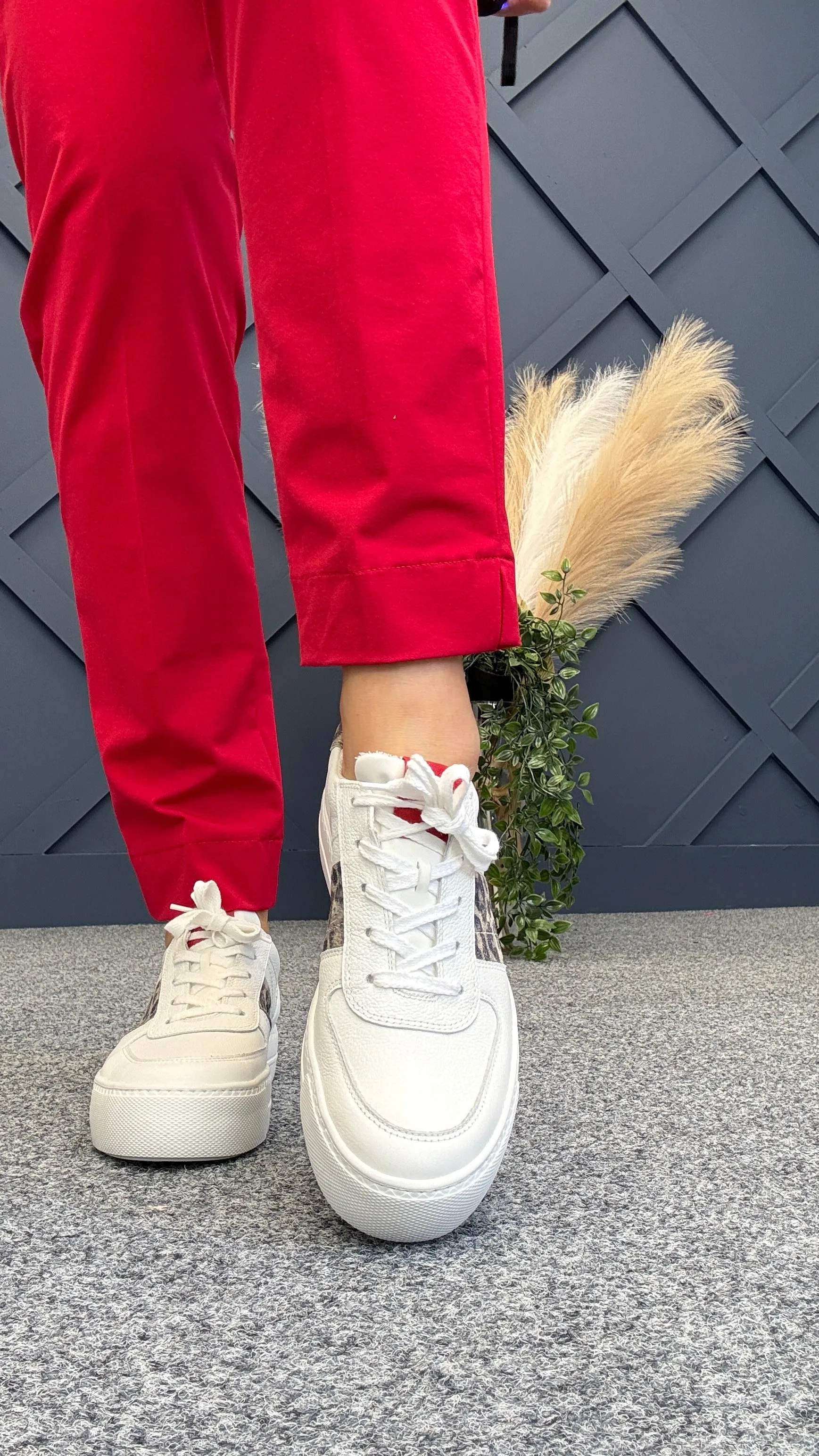 Winnie Trainer