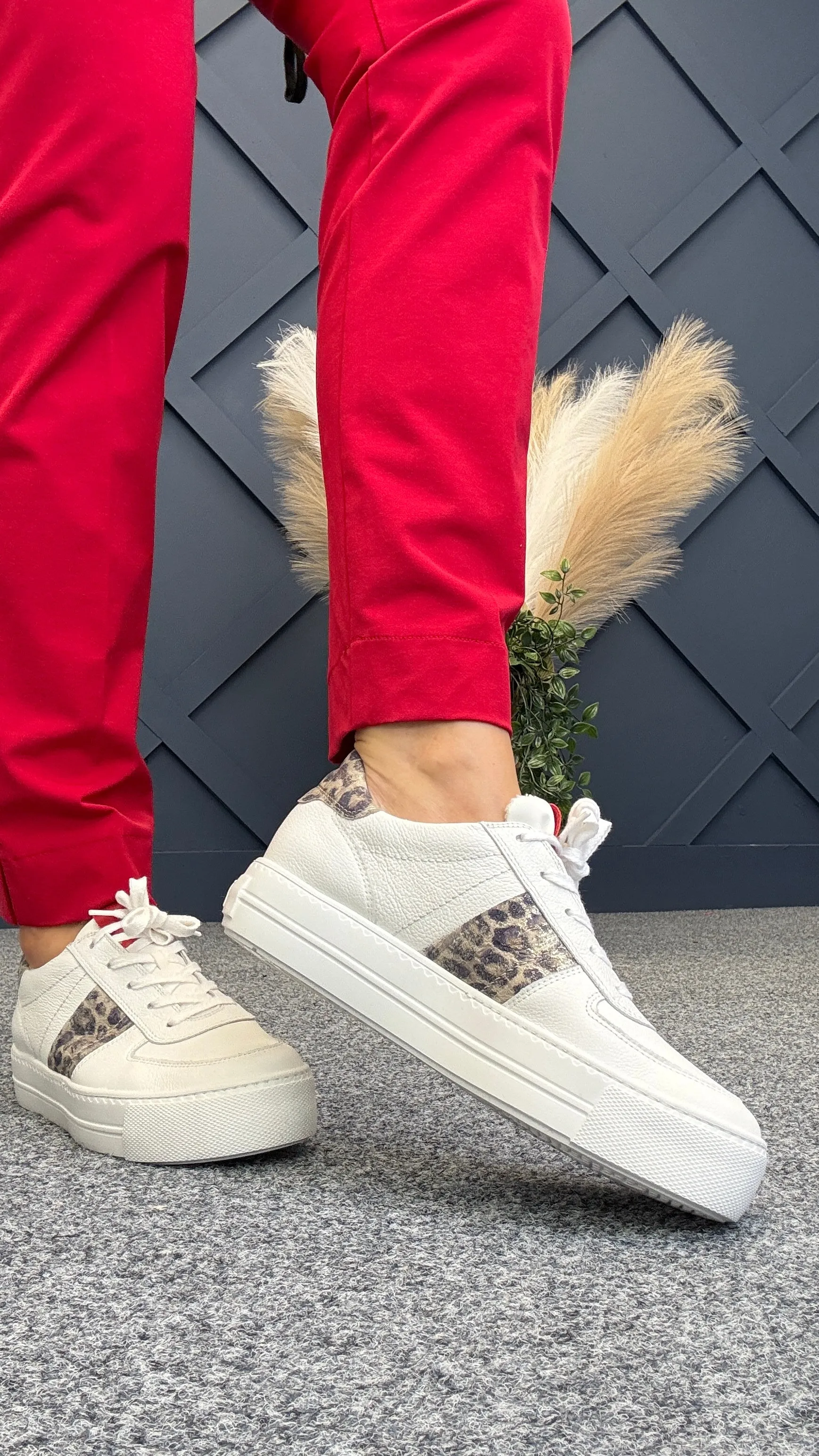Winnie Trainer